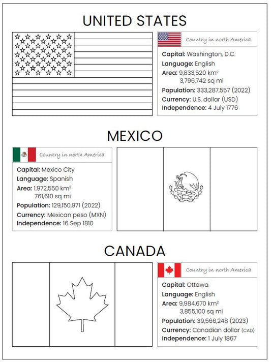 World Flags Coloring Book - 85 Pages